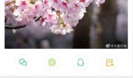 小花爆料最新,娱乐圈最新劲爆事件大揭秘！