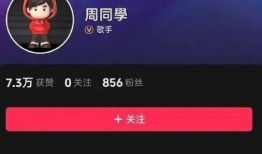 抖音成新闻爆料,揭秘网络舆论风向标